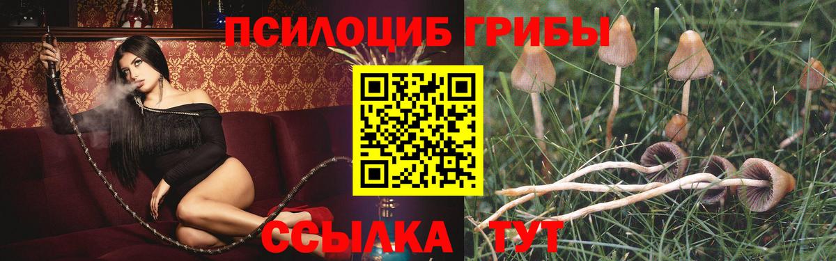 Галлюциногенные грибы мицелий  даркнет сайт  Кимры  Вход с VPN 