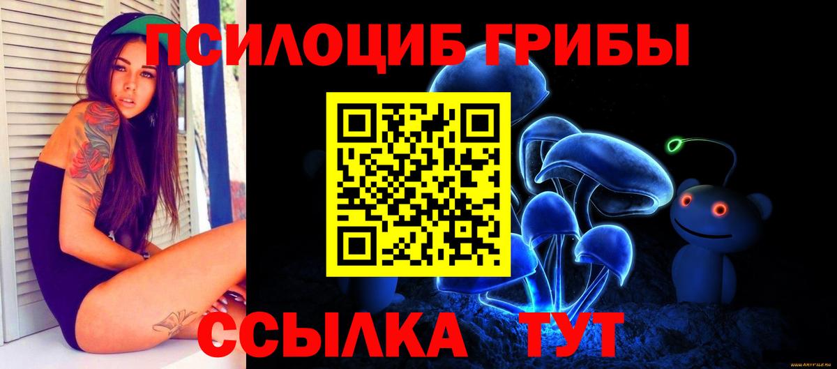 Галлюциногенные грибы Magic Shrooms Кимры